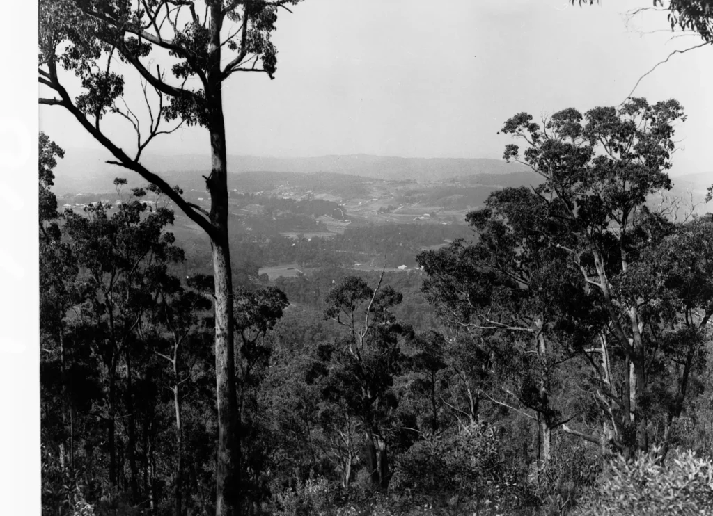 Black-and-white photo from about 1935 looking through tall gum trees from Mount Lofty Summit towards the hills and plains