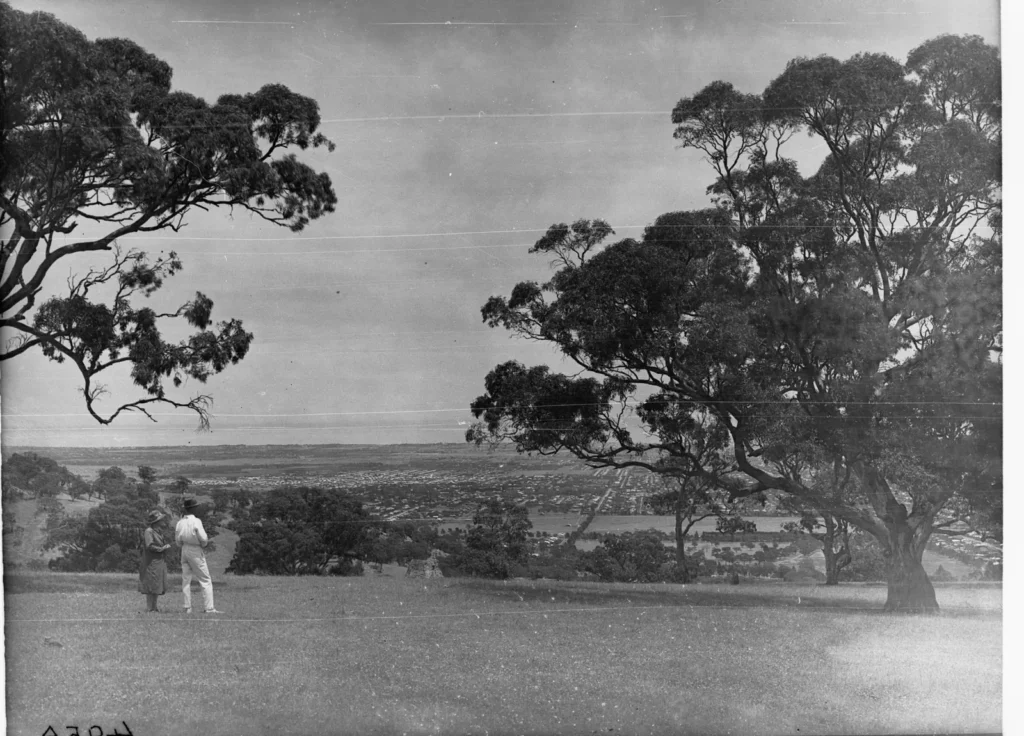 Black-and-white 1926 photo of a man and a woman standing on the grass at Mount Osmond looking out over Adelaide between large gum trees