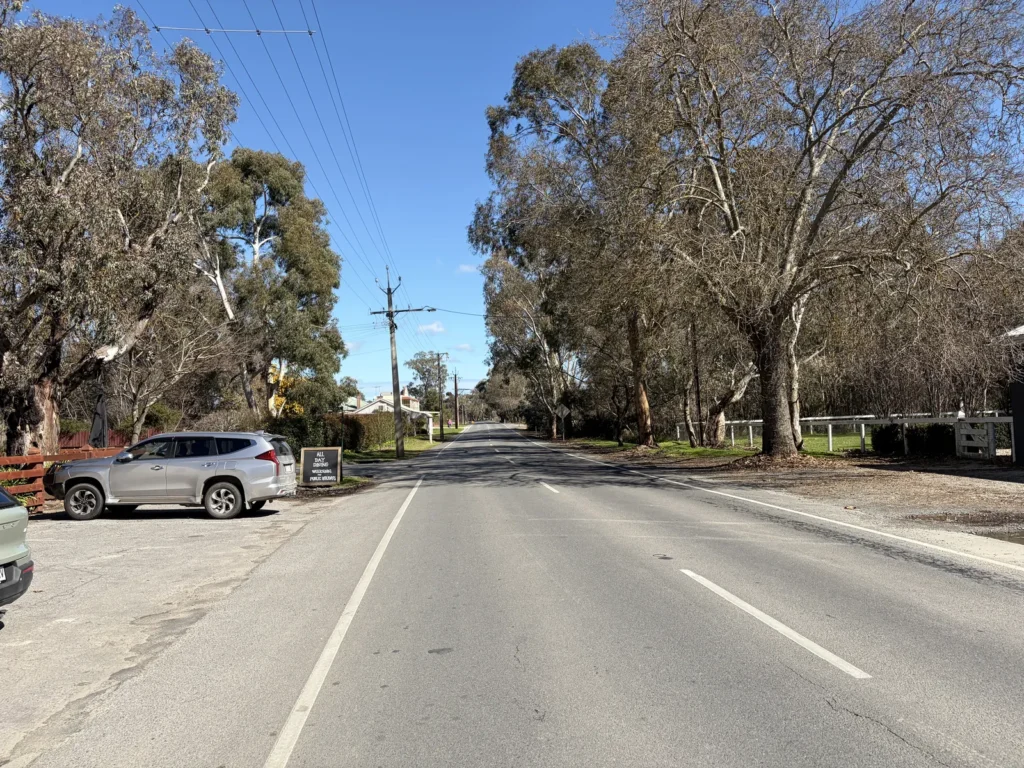 Onkaparinga Valley Road at Charleston, lined with tall gum trees