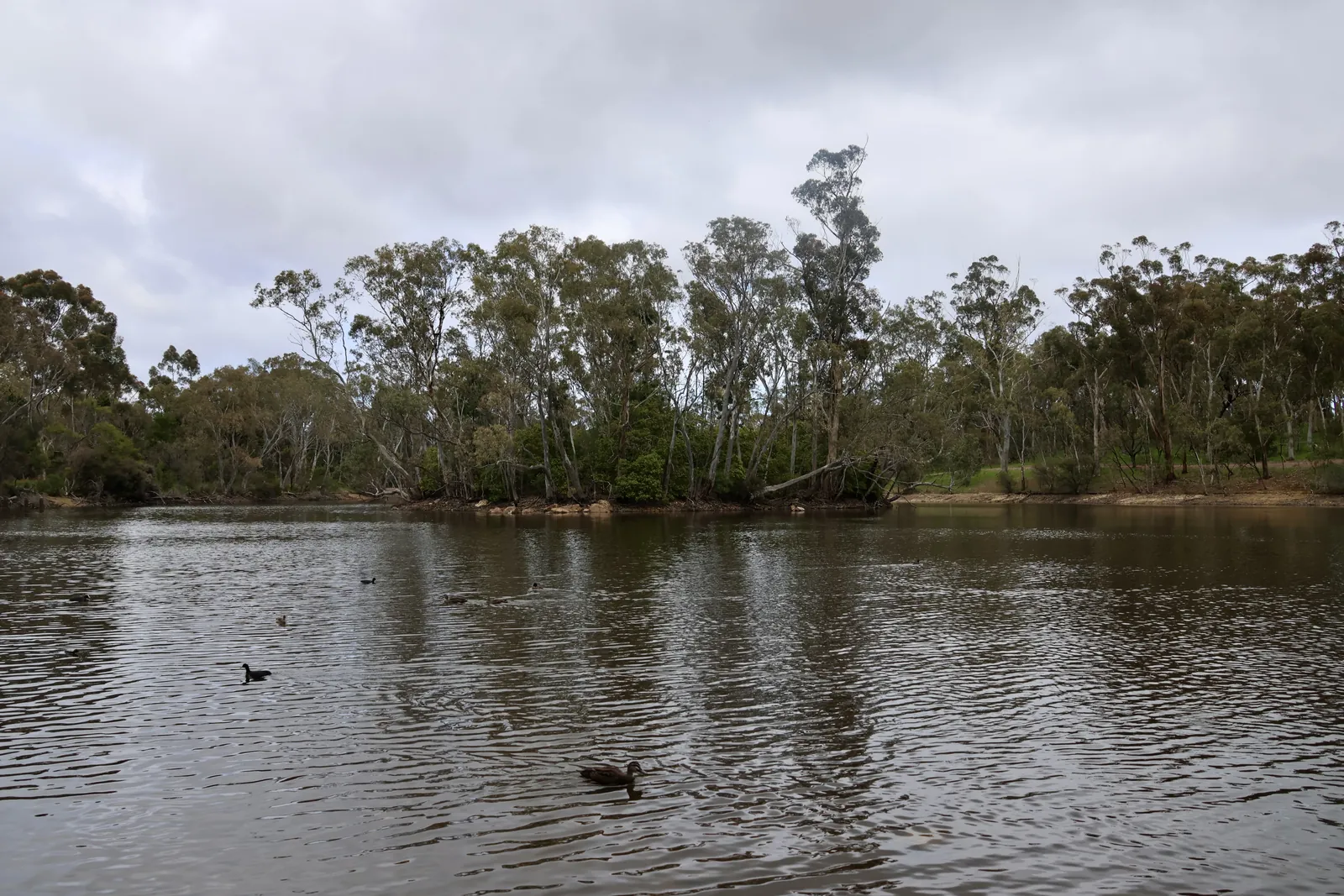 3 Easy Adelaide Walks for People Who Don’t Hike